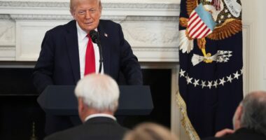 Judge says Trump administration can't use travel ban to keep 80 refugees out of the US