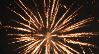 July 4th pet safety: What you need to know