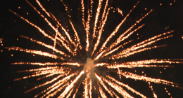 July 4th pet safety: What you need to know
