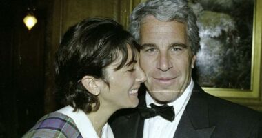 During her three-week trial, Ghislaine Maxwell was described as "dangerous", and jurors were told details of how she helped entice vulnerable teenagers to Epstein's various properties for him to sexually abuse.