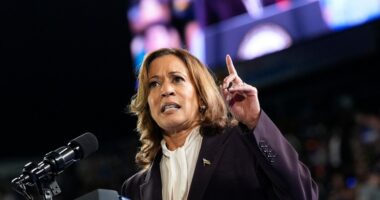Kamala Harris says she's not running for California governor