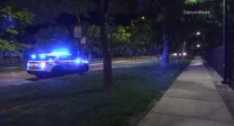 Kenneth Williams charged in Chicago shooting that injured 8-year-old girl on South State Street in Bronzeville: CPD