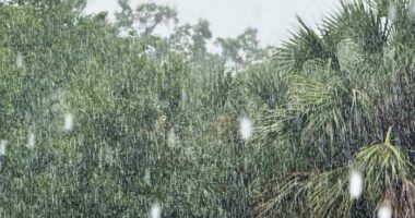 LIVE RADAR: Isolated strong storms rolling through parts of Central Florida