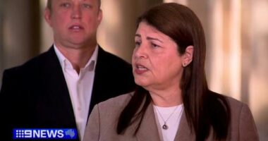 Grace Grace revealed she was the MP referenced in the CFMEU administrators report as she's advised by police to bolster her personal security.