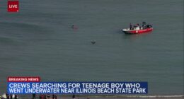 Lake Michigan search for missing teen near Illinois Beach State Park recovery effort after boy knocked into water: witness