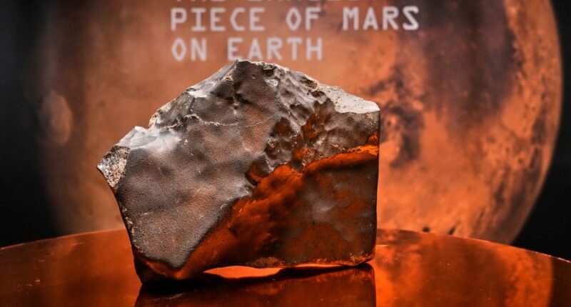 Largest piece of Mars on Earth fetches $5.3 million at auction, but young dinosaur steals the show
