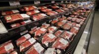 Let's Be Real: Nobody's Starving Here in the United States.