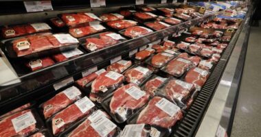 Let's Be Real: Nobody's Starving Here in the United States.