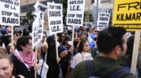 Majority of Americans disapprove of Trump immigration policies: Poll