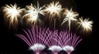 Malcolm's Memories: A Toddler's First Fourth