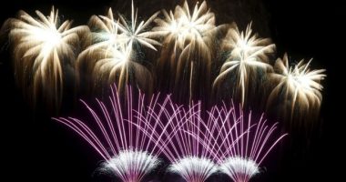 Malcolm's Memories: A Toddler's First Fourth