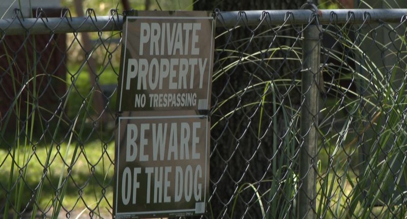Man, 38, dies after Jacksonville arrest and custody, police report elaborates