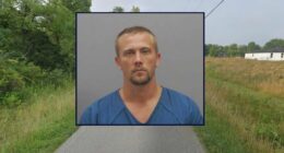 Man allegedly followed woman home after she honked at him