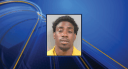 Man arrested after he allegedly rammed into police cars during chase
