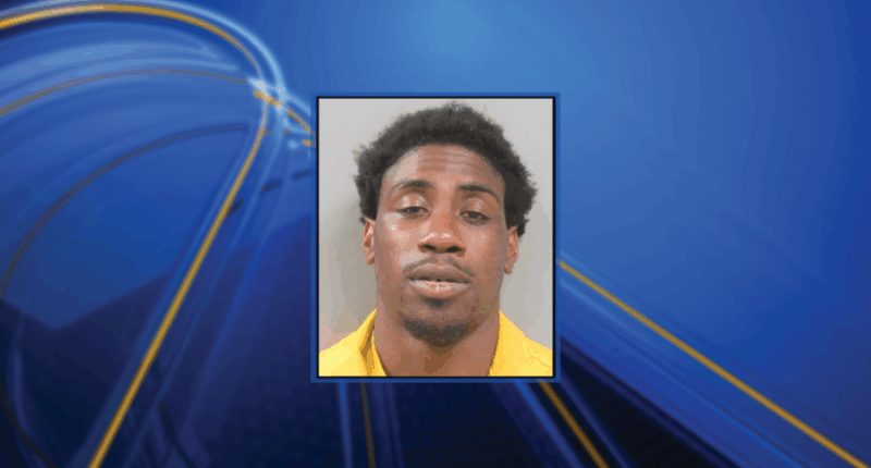 Man arrested after he allegedly rammed into police cars during chase