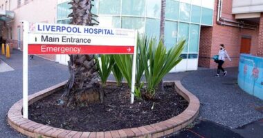 Six people have died after catching coronavirus at Liverpool Hospital.