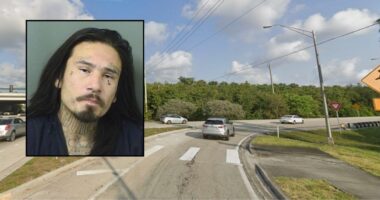 Man asleep off freeway threatens police who wake him: Cops
