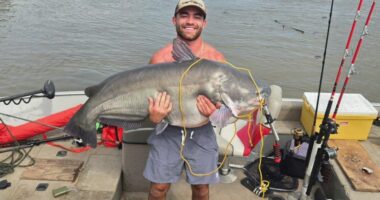 Man catches 'monster' 86-pound catfish from Missouri River