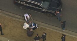 Man charged with nearly 50 offences after car chase across Melbourne