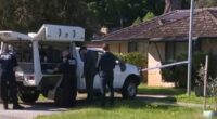 Man dies after being Tasered by WA Police during incident