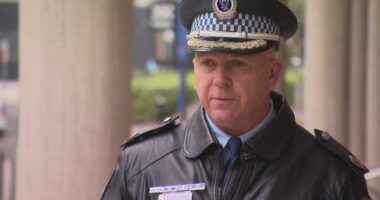 NSW POLICE Peter McKenna Waterloo critical incident