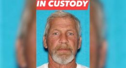 Man faces rape, animal cruelty charges after alleged Bluff City assault
