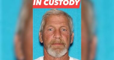 Man faces rape, animal cruelty charges after alleged Bluff City assault