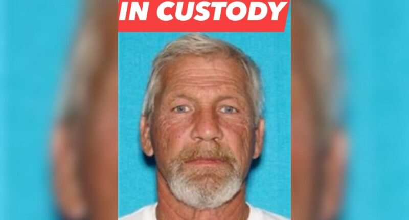 Man faces rape, animal cruelty charges after alleged Bluff City assault