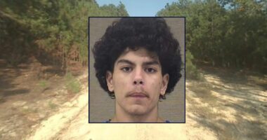Man killed ex's dog 'out of spite' over breakup: Sheriff