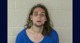 Man shot and ran over his pregnant girlfriend