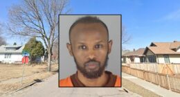 Man snatched girl from backyard, blamed her mom for assault