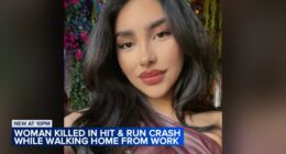 Marcela Herrera, 22, killed, fiancé injured in hit-and-run crash at Ashland, Cullerton on Southwest Side: Chicago police, family