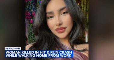 Marcela Herrera, 22, killed, fiancé injured in hit-and-run crash at Ashland, Cullerton on Southwest Side: Chicago police, family