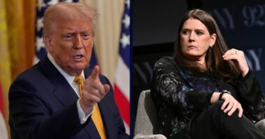 Mary Trump begs for key Trump family discovery one more time