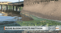 Mattoon issues another 'do not drink' order