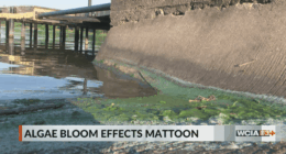 Mattoon issues another 'do not drink' order