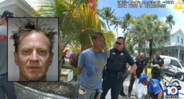 Meth-fueled Florida man stole tour train for birthday: Cops