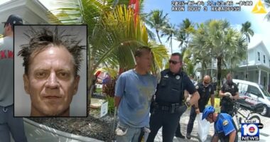 Meth-fueled Florida man stole tour train for birthday: Cops