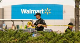 Michigan Walmart stabbing was like ‘a movie’: Witness