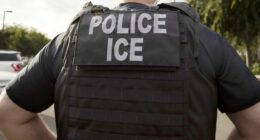 Migrant charged with concealing woman's death arrested by ICE