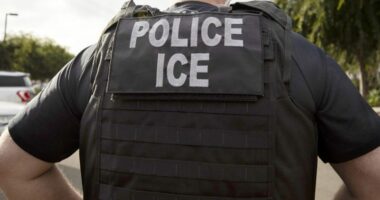 Migrant charged with concealing woman's death arrested by ICE