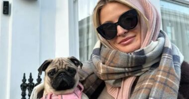 Millie Mackintosh reveals how her pet dog Luna has aided her sobriety