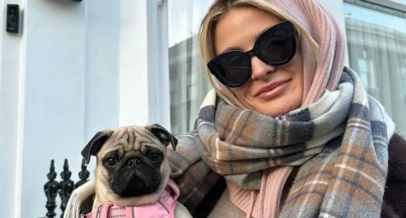 Millie Mackintosh reveals how her pet dog Luna has aided her sobriety