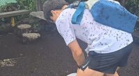 T﻿housands of Lovebugs, known scientifically as Plecia nearctica, have swarmed parts of South Korea with a viral video showing just how intense the invasion is. The bugs have descended onto ﻿Mount Gyeyang in Incheon's Gyeyang District, according to local media.