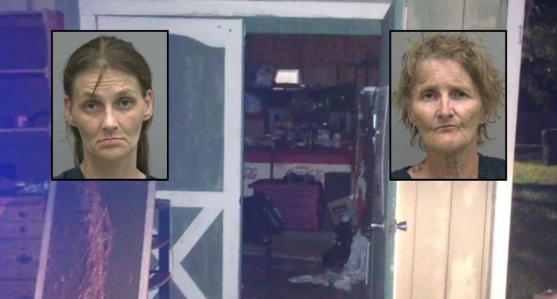 Mom and grandma arrested after kids locked in shed: Deputies