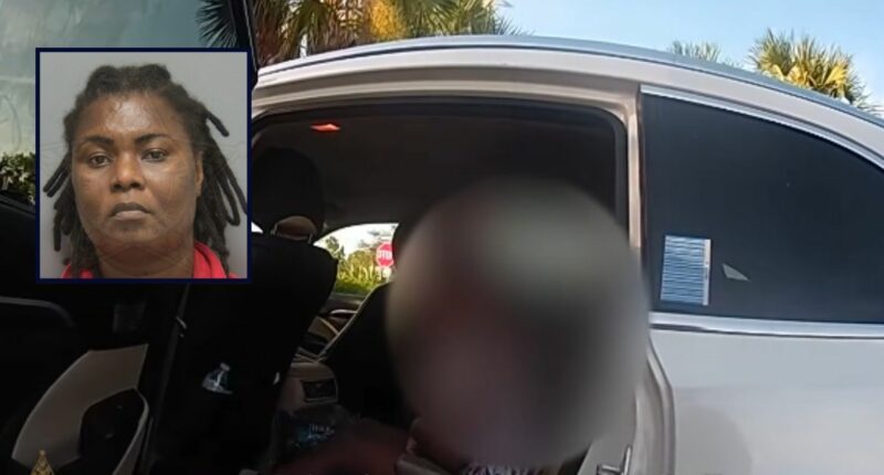 Mom leaves kids in hot car to shop at Dollar Tree: Cops