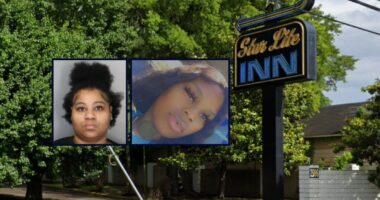 Mom of 3 shot dead in Memphis hotel parking lot: Cops