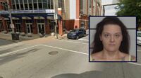 Mom used kids to trick in-law into allergic reaction: Police