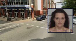 Mom used kids to trick in-law into allergic reaction: Police