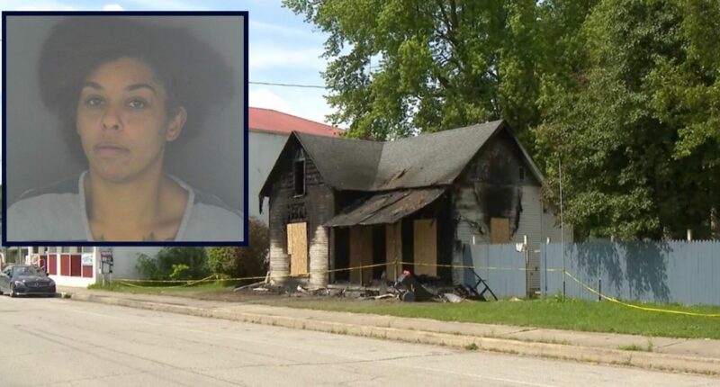 Mom went for walk while house burned with kids inside: Cops
